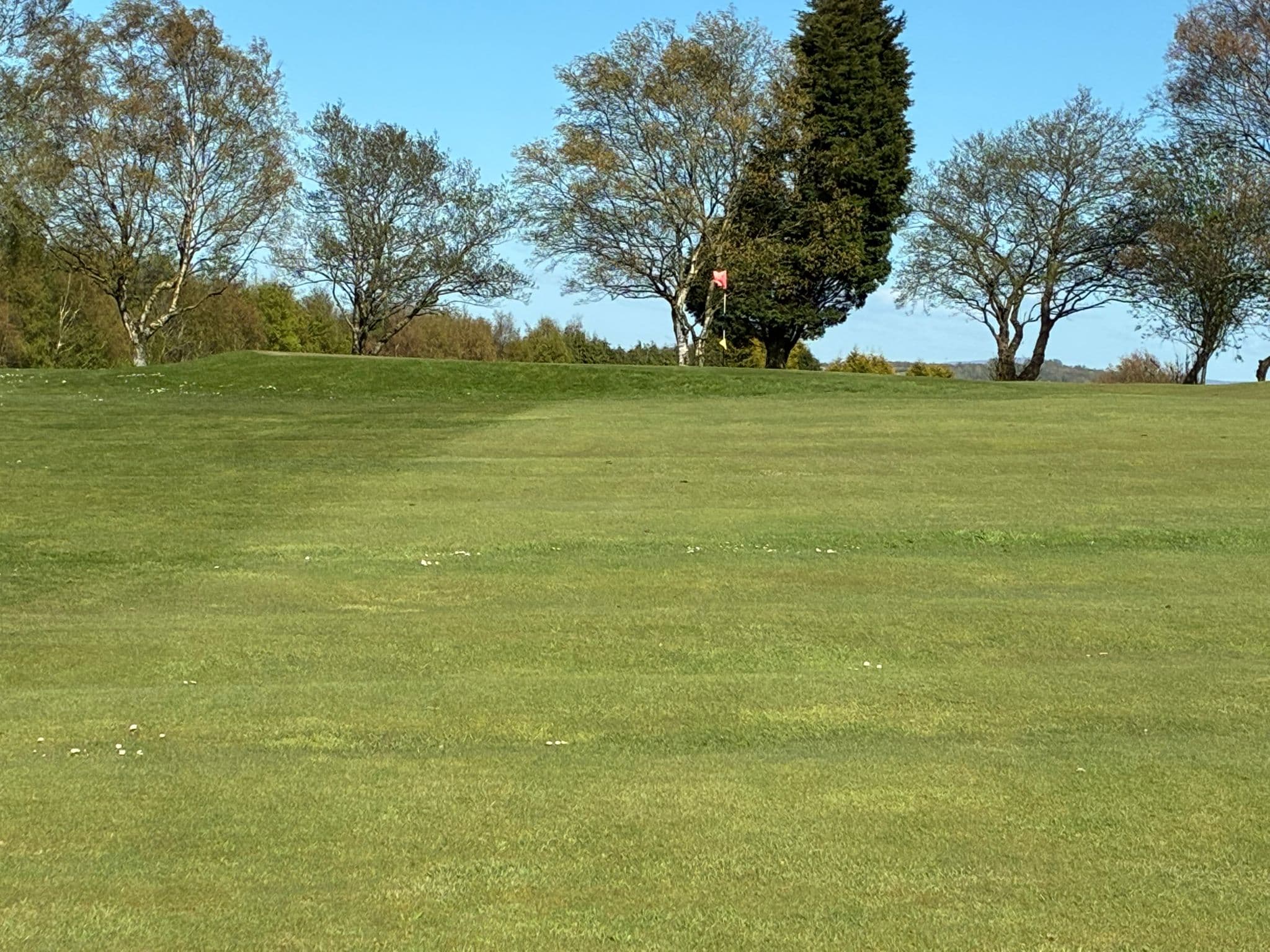 Hole 11 - 11