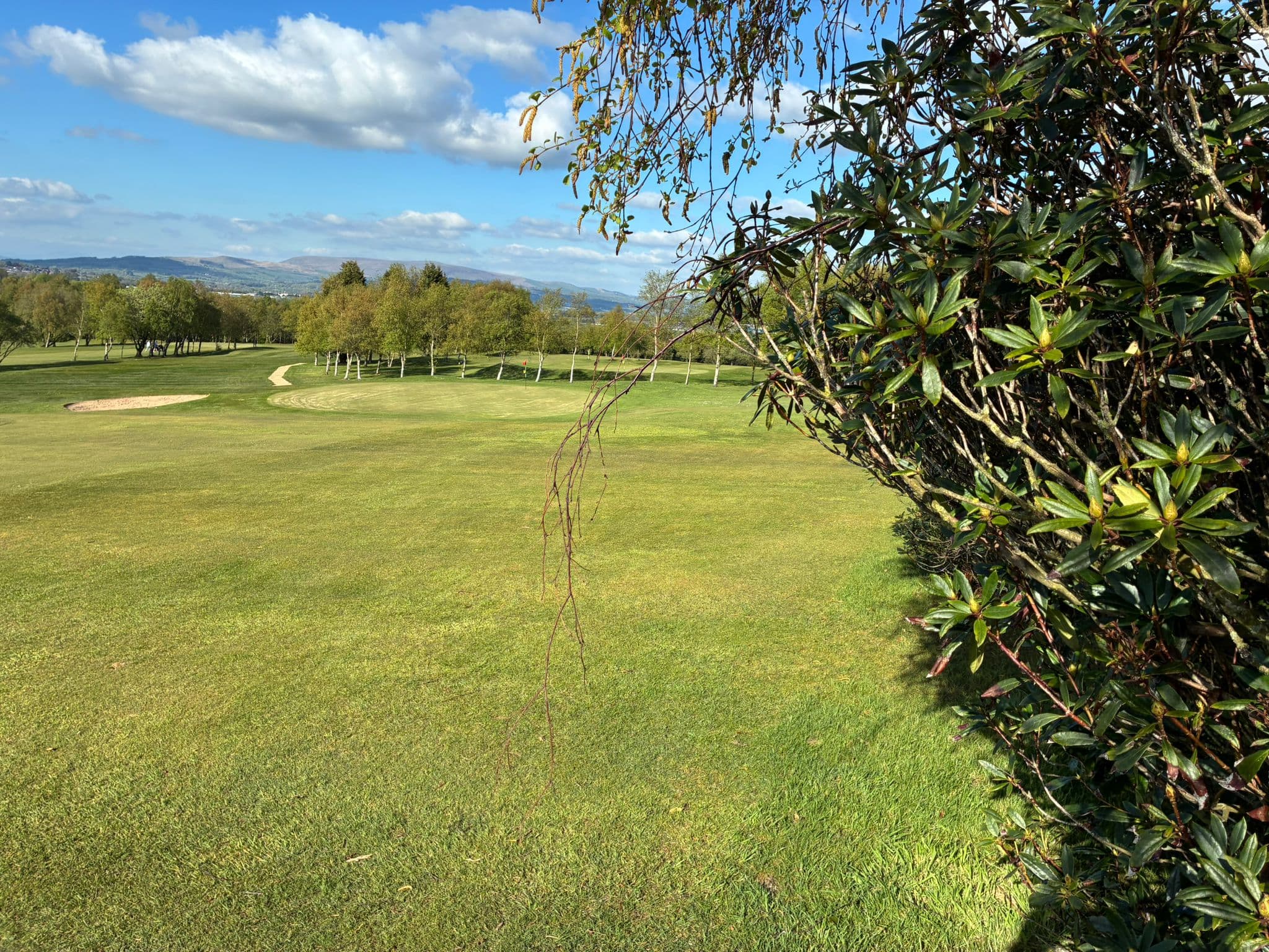 Hole 4 - The long par 3